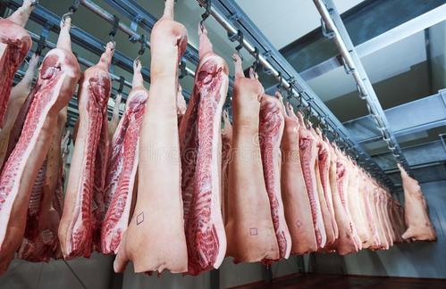 視頻 | 從肉塊到肉泥再到產品，德國工廠里黑科技滿滿