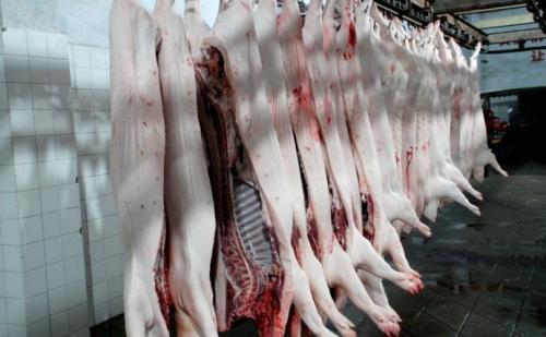 視頻丨嚴、精、快、準！正大集團的豬肉屠宰加工流程