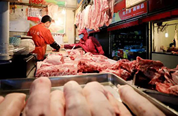 豬、牛、羊等肉類價格集體上漲，年關(guān)怎么過？