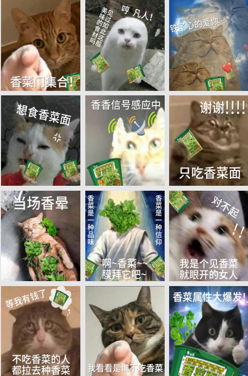 微信圖片_20250604101542.png